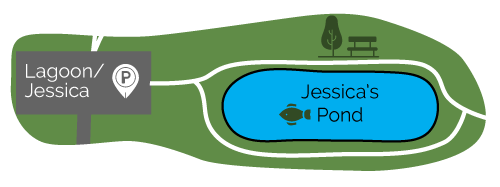 Jessica's Pond