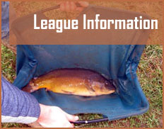 league information